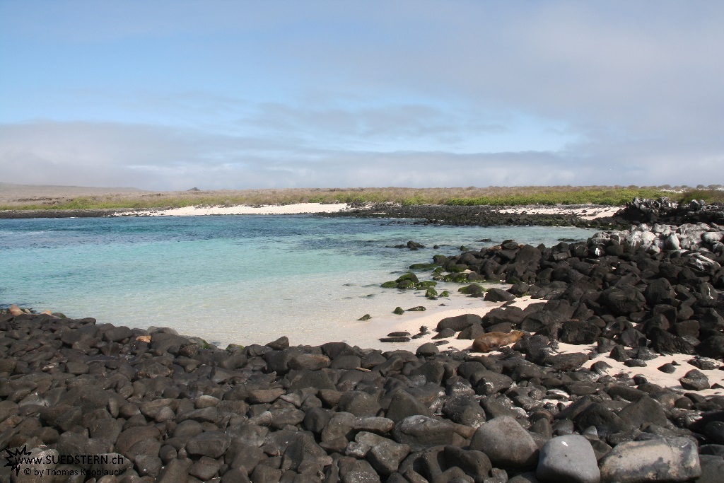 Beach - Galapagos 2010 -IMG 6838